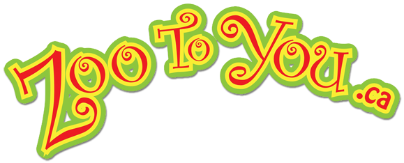 Zoo To You | Ed-zoo-cation at your location!